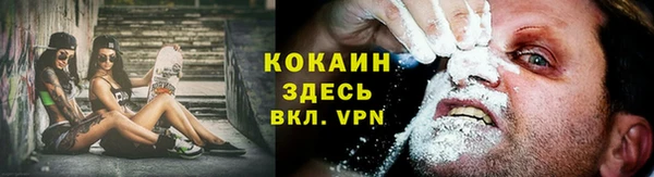 PSILOCYBIN Карталы