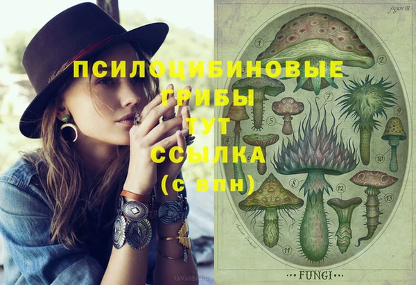 индика Карпинск