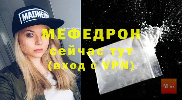 индика Карпинск