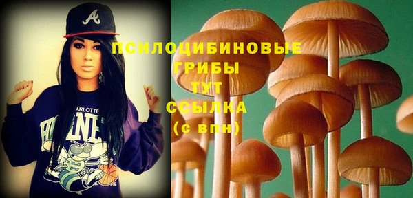 гидра Зеленодольск