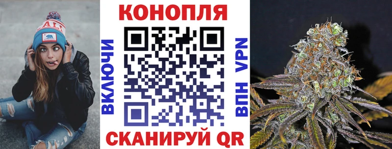 Бошки Шишки ГИДРОПОН  Людиново 